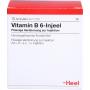 VITAMIN B6 INJEEL Ampullen