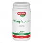 WHEYPROTEIN lactosefrei Schoko Pulver