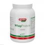 WHEYPROTEIN lactosefrei Vanille Pulver