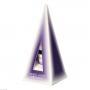 WHITE LIGHT Devic Essence Tropfen