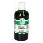 YAMSWURZEL+DHEA Tropfen