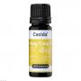 YLANG YLANG Öl naturrein ätherisch