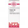 ZINGIBER C 30 Globuli
