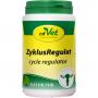 ZYKLUSREGULAT Ergänzungsfutterm.Pulver f.Hunde