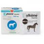 ZYLKENE Equine Erg.Futterm.Pulver f.Pferde