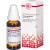 ACTAEA SPICATA C 12 Dilution