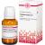 CALADIUM seguinum C 5 Tabletten