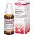 CALCIUM CARBONICUM Hahnemanni D 200 Dilution