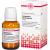CAULOPHYLLUM THALICTROIDES D 4 Tabletten