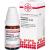 CHROMIUM METALLICUM C 100 Globuli Ind.Fert.