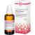 GALEGA officinalis D 4 Dilution