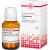 KREOSOTUM D 30 Tabletten