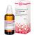 LYCOPUS VIRGINICUS D 12 Dilution