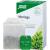 MORINGA TEE Bio Moringa oleifera folium Salus Fbtl