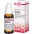 ORTHOSIPHON STAMINEUS D 2 Dilution