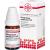 PHELLANDRIUM AQUATICUM D 20 Globuli Ind.Fert.