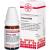 POLLENS C 1000 Globuli