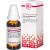 QUERCUS E GLANDIBUS D 3 Dilution