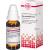 RHUS TOXICODENDRON D 6 Dilution