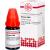 RUMEX LM VI Dilution