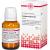 SOLIDAGO VIRGAUREA D 3 Tabletten