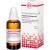 SYZYGIUM JAMBOLANUM D 4 Dilution