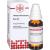 RUTA D 6 Dilution