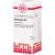 ABSINTHIUM D 2 Globuli