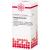 BRYOPHYLLUM D 12 Tabletten