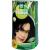 HENNAPLUS Long Lasting black 1