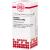LYCOPUS VIRGINICUS LM VI Dilution