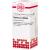 PHYTOLACCA LM XXIV Dilution