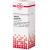STILLINGIA silvatica D 4 Dilution