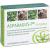 ASPARAGUS P Filmtabletten