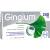 GINGIUM 240 mg Filmtabletten