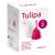 MENSTRUATIONSTASSE Tulipa Gr.2