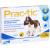 PRAC tic f.mittlere Hunde 11-22 kg Einzeldosispip.