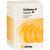 SYNERGON KOMPLEX 55 Chelidonium N Tabletten