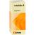 SYNERGON KOMPLEX 81 Caulophyllum N Tropfen