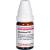 ABSINTHIUM C 30 Globuli