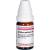 ACIDUM OXALICUM D 12 Globuli