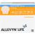 ALLEVYN Life Sacrum kl.17,2x17,5cm Silik.Schaumv.