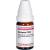 APOCYNUM C 200 Globuli