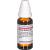 ARANEA DIADEMA D 6 Dilution