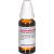ARUNDO mauritanica D 12 Dilution