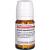 ARUNDO mauritanica D 6 Tabletten