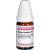 BARIUM JODATUM D 12 Globuli
