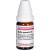 BELLIS PERENNIS C 6 Globuli