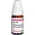 BORAX C 12 Globuli