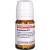 BRYOPHYLLUM D 12 Tabletten